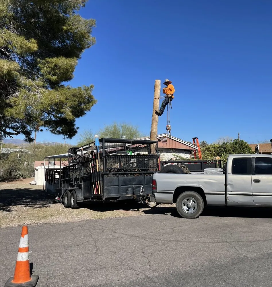 Professional residential landscaping in Apache Junction, AZ - Family Tree Trimming