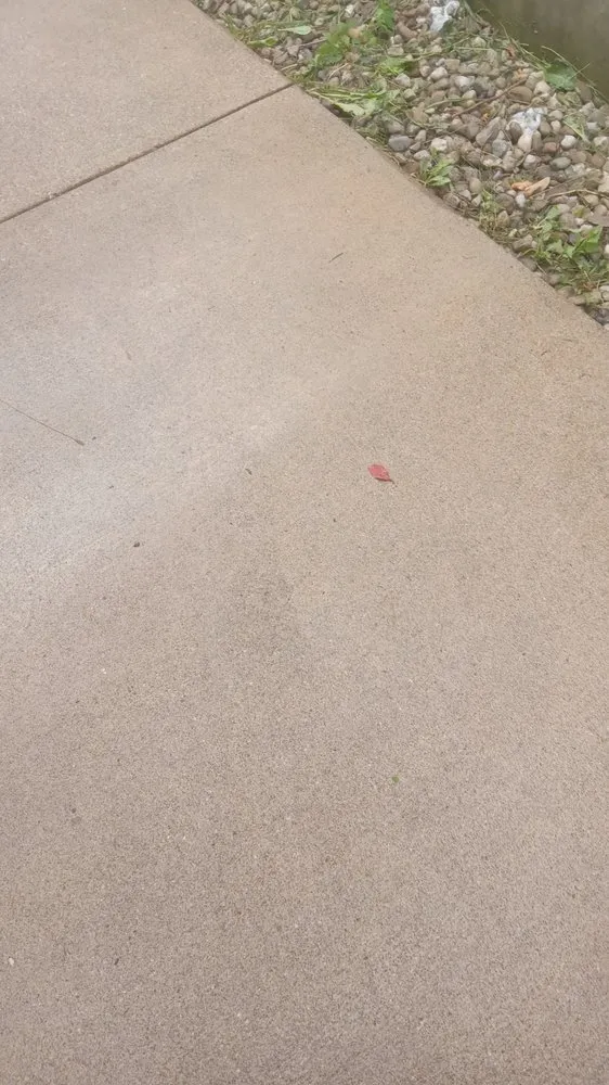 Professional yard cleanup service with custom design in Mansfield, OH by Family Wyse Management