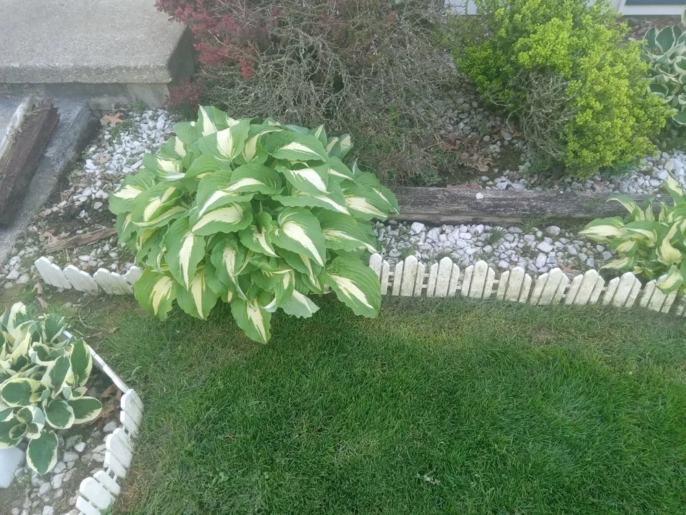 Reliable landscaping services in Mansfield, OH by Family Wyse Management