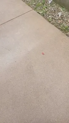 Family Wyse Management Logo