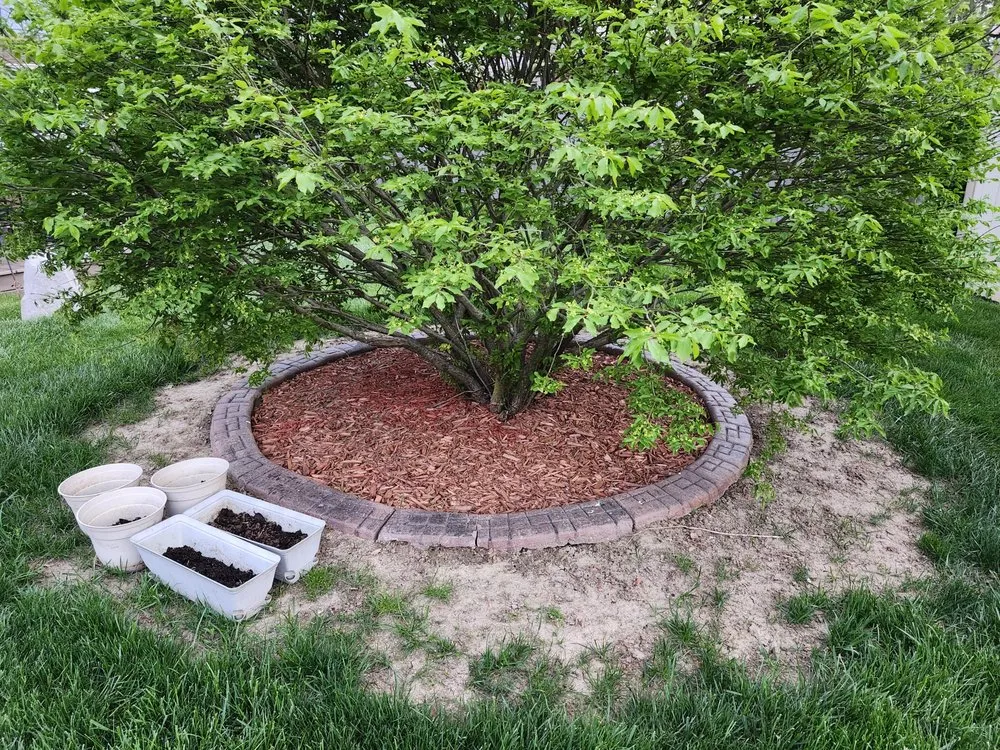 Professional landscape installation in Indianapolis, IN - Familyman Construction And Landscaping