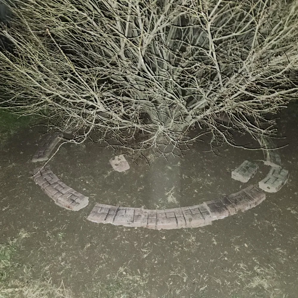 Reliable lawn care service in Indianapolis, IN by Familyman Construction And Landscaping