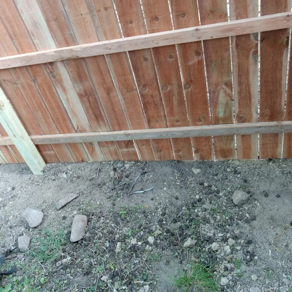 Local yard maintenance for outdoor upgrades across Indianapolis, IN - Familyman Construction And Landscaping