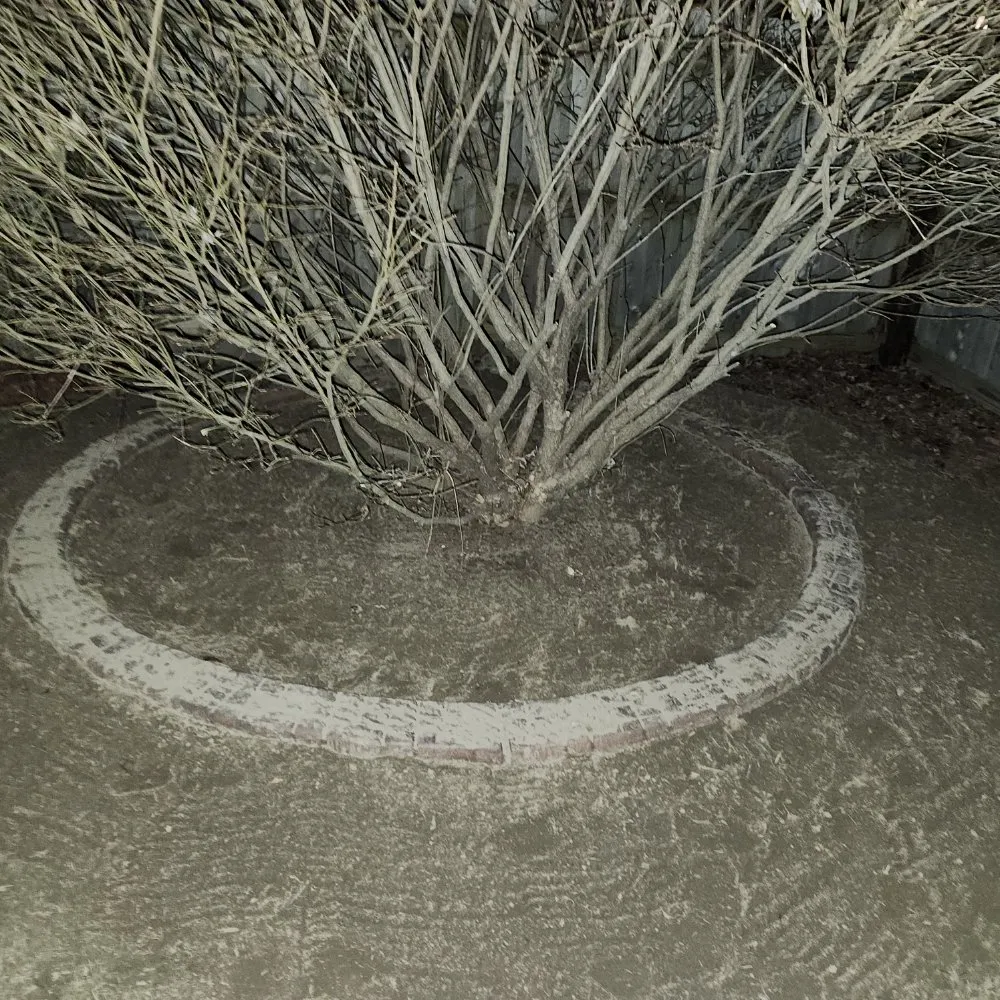 Expert landscape installation in Indianapolis, IN - Familyman Construction And Landscaping