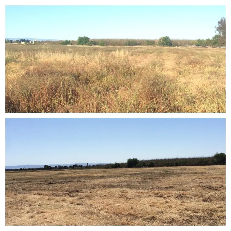 Reliable garden landscaping experts serving Modesto, CA - Familytree Landscape Contractors