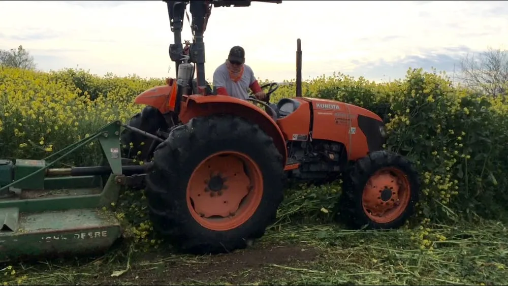Trusted landscape installation experts serving Modesto, CA - Familytree Landscape Contractors