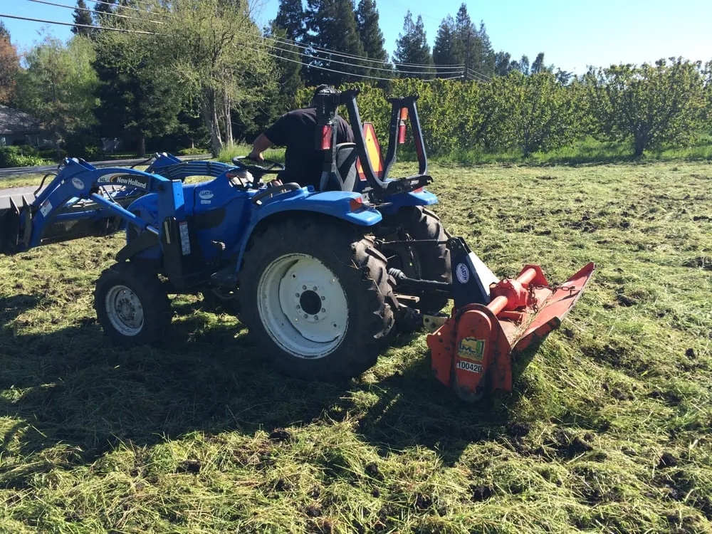 Professional residential landscaping for beautiful yards in Modesto, CA by Familytree Landscape Contractors