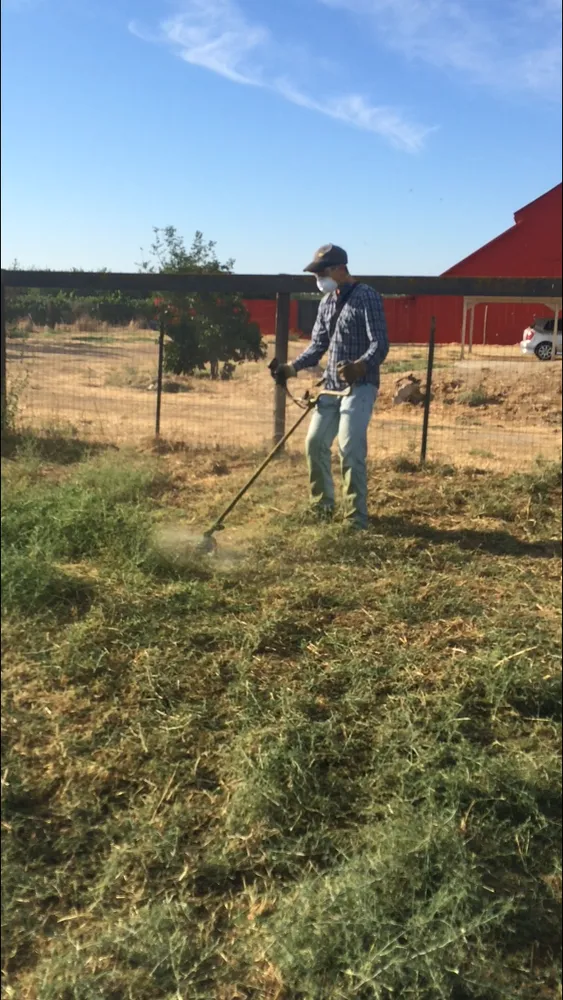 Trusted yard cleanup service for outdoor upgrades in Modesto, CA by Familytree Landscape Contractors