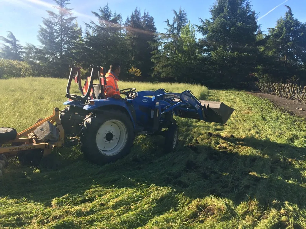 Reliable landscape design near you across Modesto, CA - Familytree Landscape Contractors