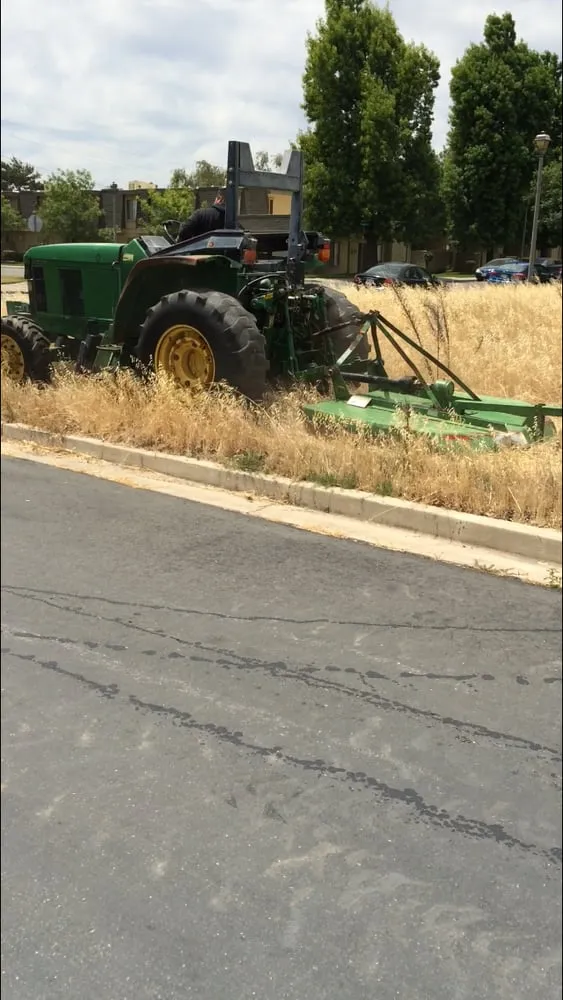 Reliable yard cleanup service for beautiful yards across Modesto, CA - Familytree Landscape Contractors