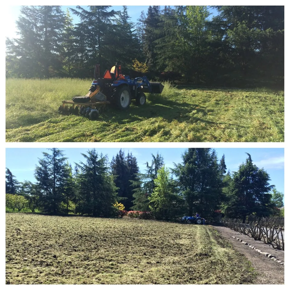 Top-rated garden landscaping for outdoor upgrades in Modesto, CA by Familytree Landscape Contractors