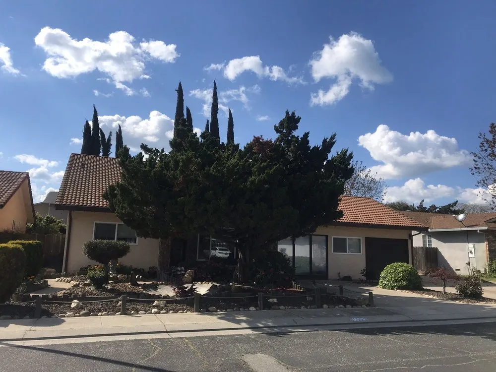 Trusted yard cleanup service in Modesto, CA - Familytree Landscape Contractors