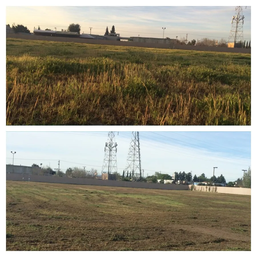 Trusted residential landscaping in Modesto, CA by Familytree Landscape Contractors