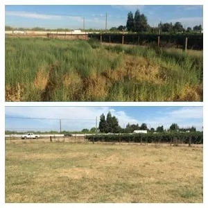 Local landscaping services in Modesto, CA - Familytree Landscape Contractors