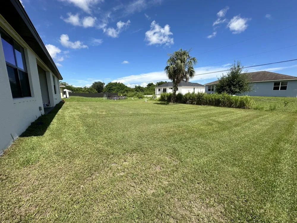 Custom yard cleanup service in Fort Myers, FL by Fanck’s Services