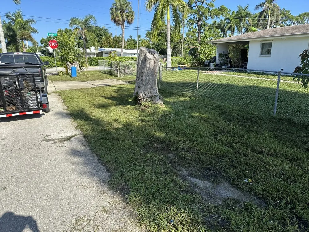 Reliable landscape installation experts serving Fort Myers, FL - Fanck’s Services