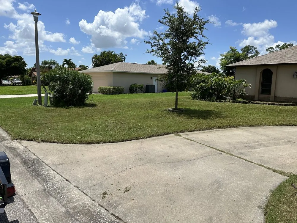 Local yard cleanup service experts serving Fort Myers, FL - Fanck’s Services