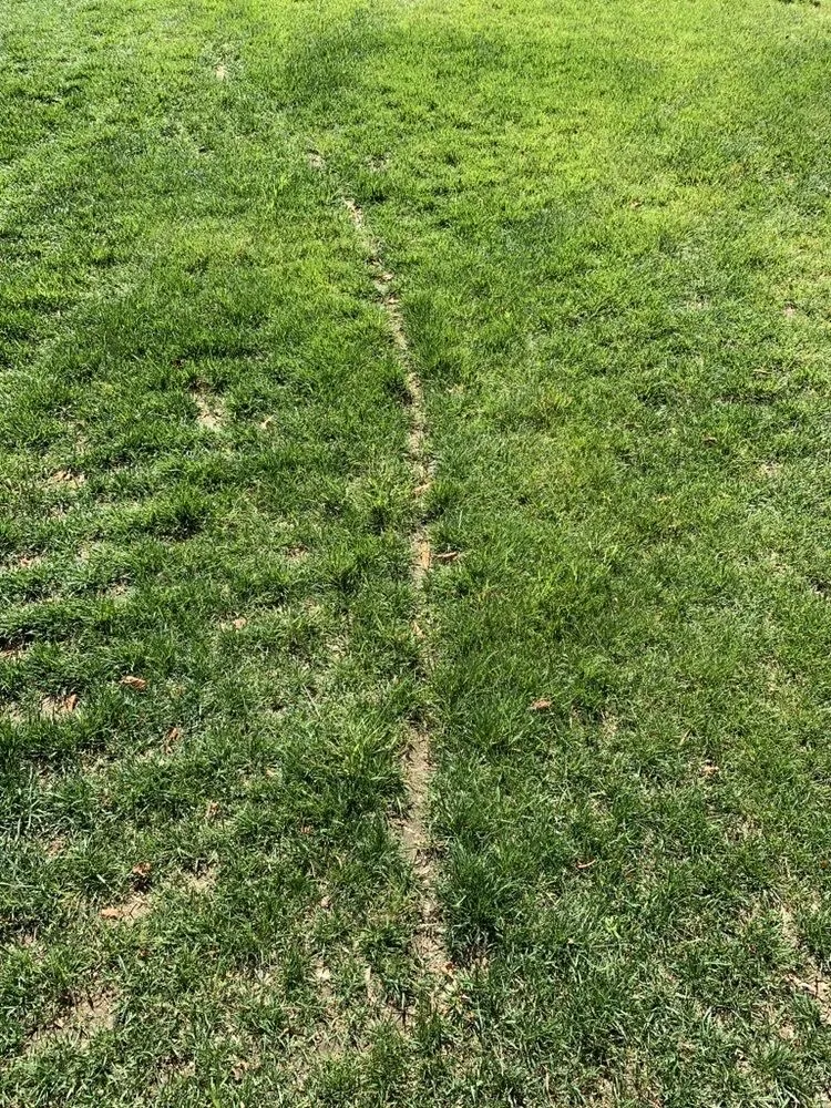 Reliable yard maintenance for homes across Bridgeville, DE - Fancy Cutz