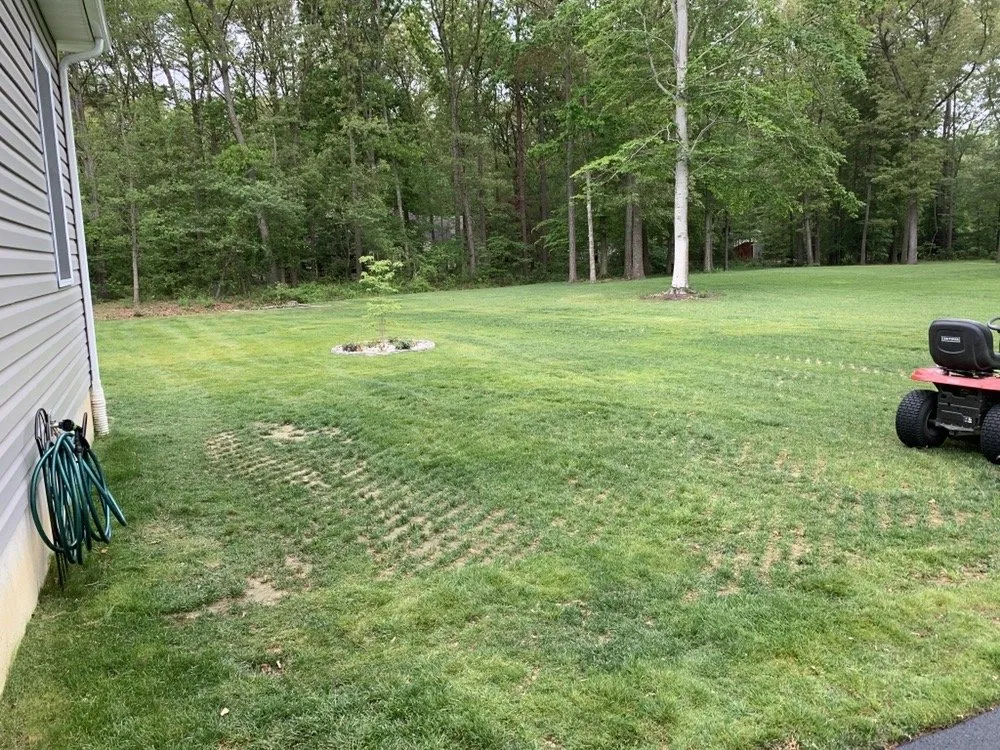 Affordable landscaping services for beautiful yards in Bridgeville, DE by Fancy Cutz