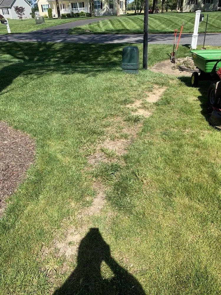 Affordable garden landscaping in Bridgeville, DE - Fancy Cutz