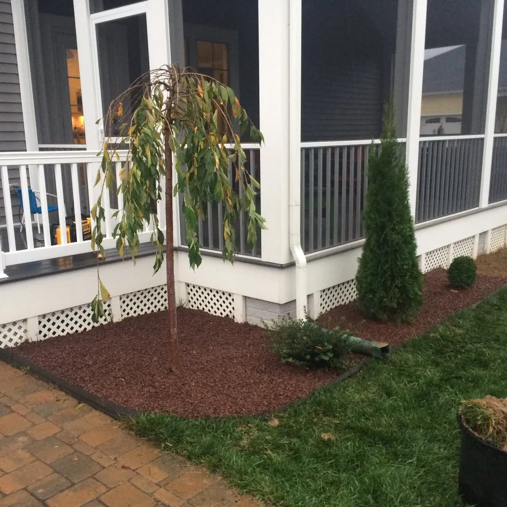 Professional lawn care service near you across Bridgeville, DE - Fancy Cutz