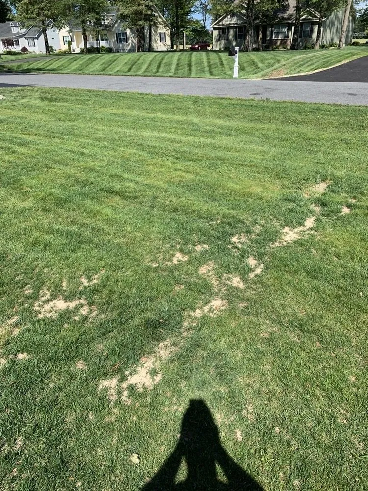 Expert landscape design in Bridgeville, DE - Fancy Cutz