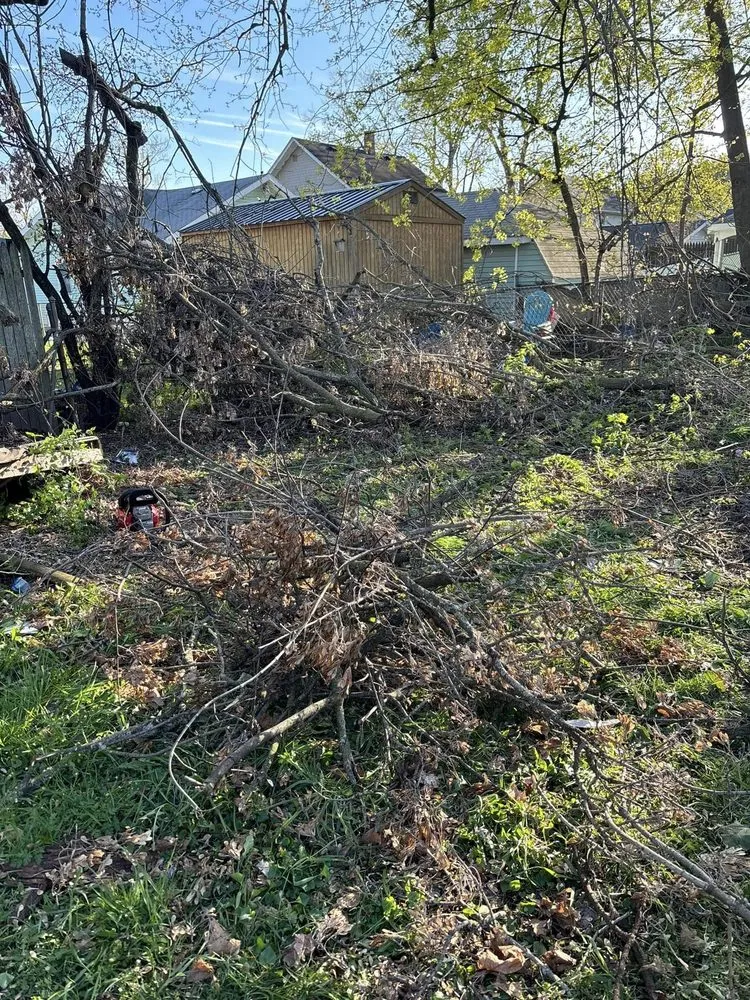 Expert lawn care service in Jackson, MI by Fancy Lawn Care