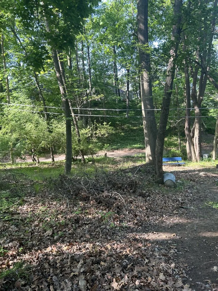 Local lawn mowing service near you across Jackson, MI - Fancy Lawn Care