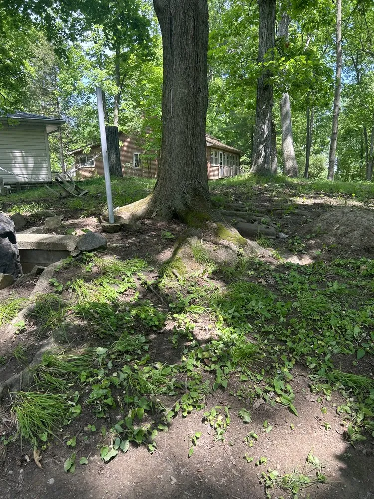 Professional outdoor landscaping in Jackson, MI by Fancy Lawn Care