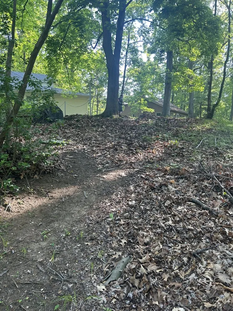 Trusted yard maintenance for outdoor upgrades across Jackson, MI - Fancy Lawn Care