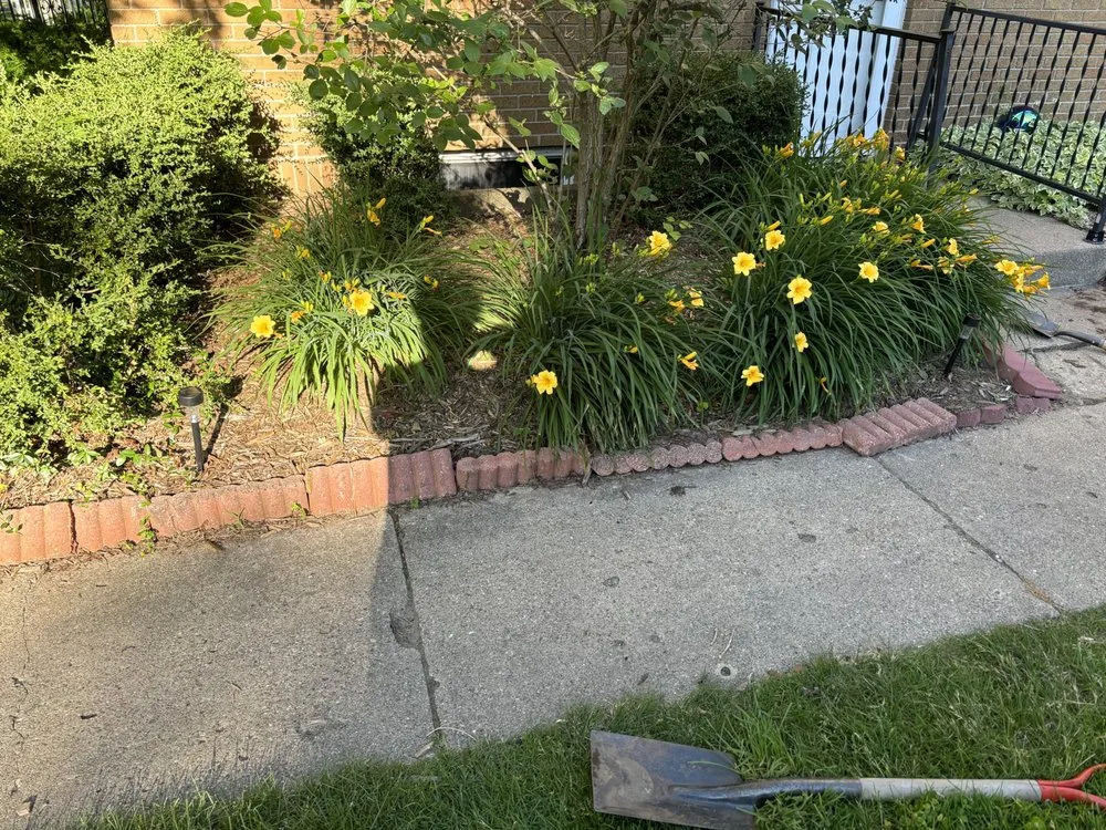 Reliable lawn mowing service for outdoor upgrades in Jackson, MI by Fancy Lawn Care