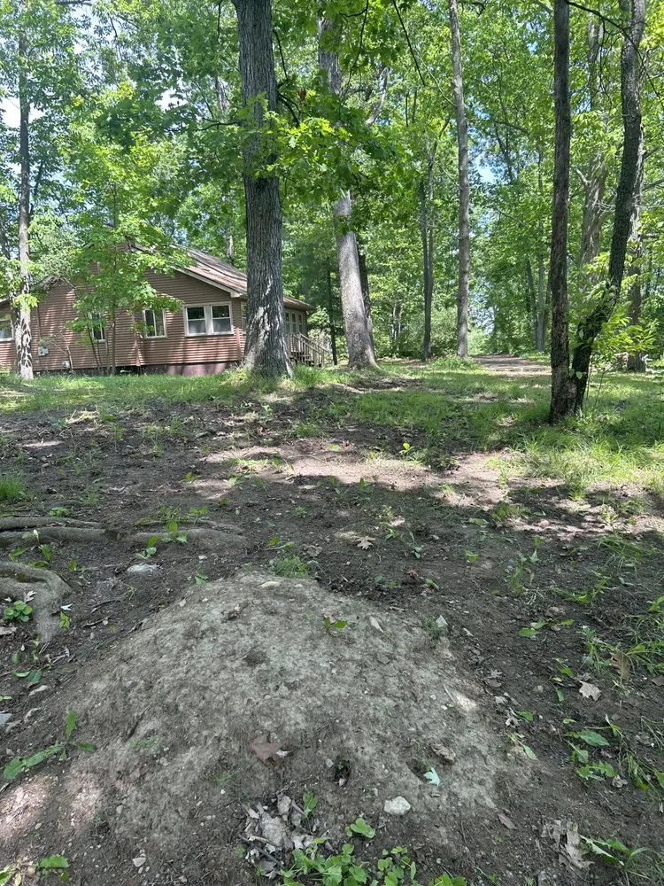 Local landscaping services for outdoor upgrades in Jackson, MI by Fancy Lawn Care