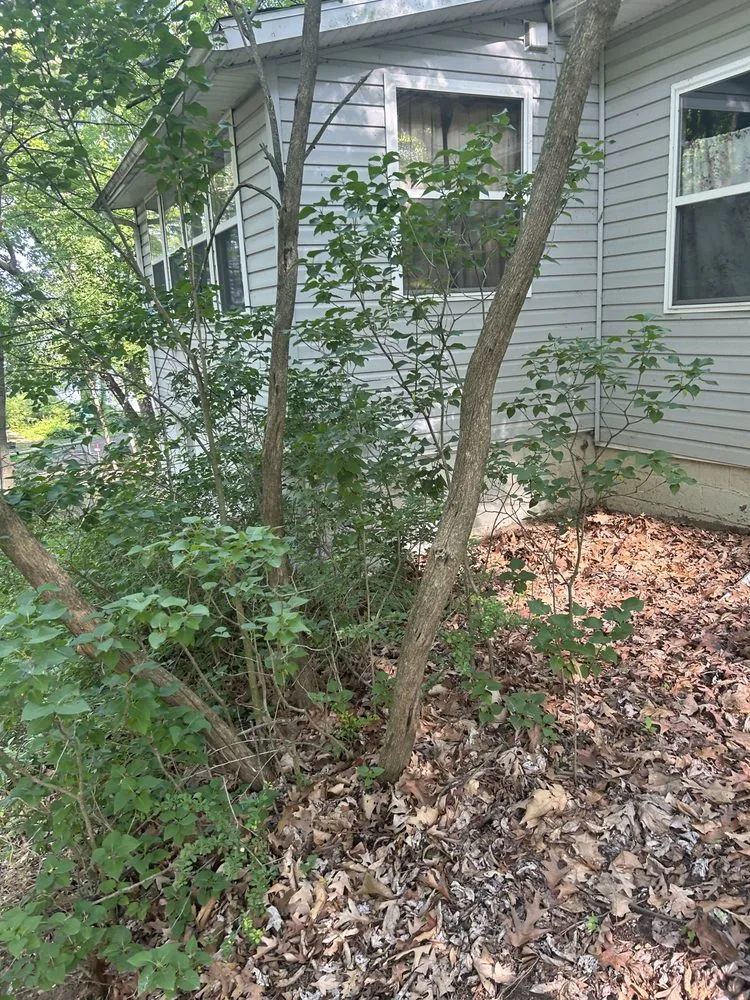 Local lawn care service experts serving Jackson, MI - Fancy Lawn Care