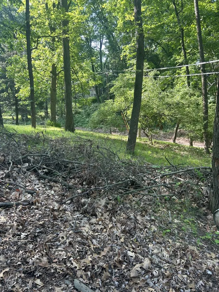 Custom landscape design in Jackson, MI by Fancy Lawn Care