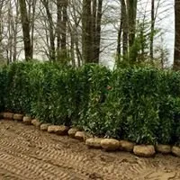 Trusted lawn care service for year-round maintenance in Monroe Township, NJ by Fanelli's Landscape Supply