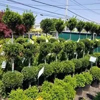 Local garden landscaping experts serving Monroe Township, NJ - Fanelli's Landscape Supply