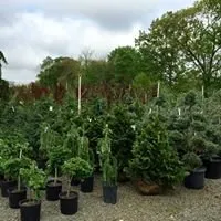 Top-rated yard maintenance in Monroe Township, NJ - Fanelli's Landscape Supply