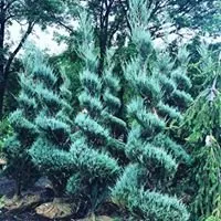 Expert landscape installation for beautiful yards in Monroe Township, NJ by Fanelli's Landscape Supply