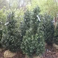 Professional landscaping services in Monroe Township, NJ by Fanelli's Landscape Supply