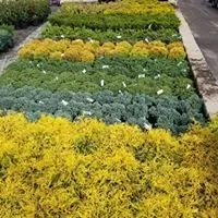 Affordable lawn care service in Monroe Township, NJ - Fanelli's Landscape Supply