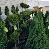 Custom landscape installation in Monroe Township, NJ - Fanelli's Landscape Supply