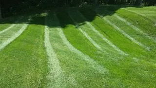 Affordable yard cleanup service for residential properties across Poughkeepsie, NY - Fanny Landscaping