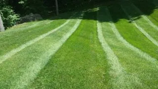 Top-rated yard cleanup service in Poughkeepsie, NY by Fanny Landscaping