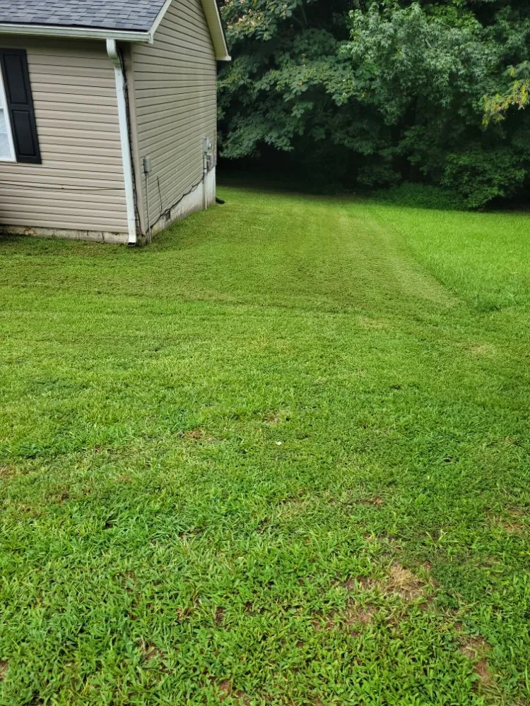 Custom landscape installation near you across Flowery Branch, GA - Fantastic Guys Lawn Service