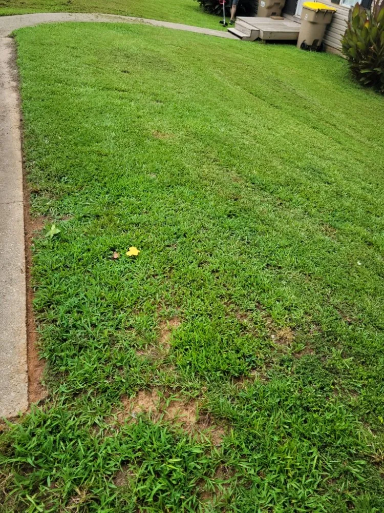 Custom yard maintenance in Flowery Branch, GA by Fantastic Guys Lawn Service