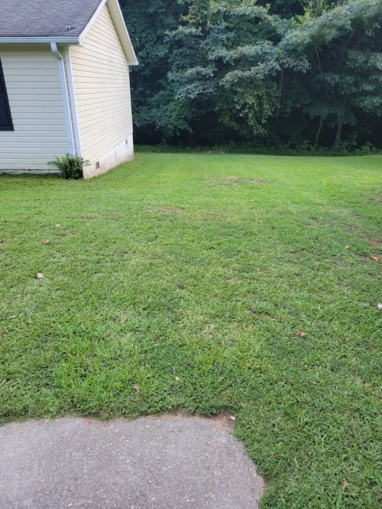 Professional lawn care service experts serving Flowery Branch, GA - Fantastic Guys Lawn Service