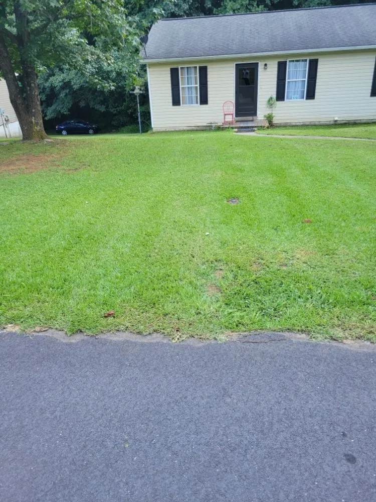 Reliable landscape design for year-round maintenance in Flowery Branch, GA by Fantastic Guys Lawn Service