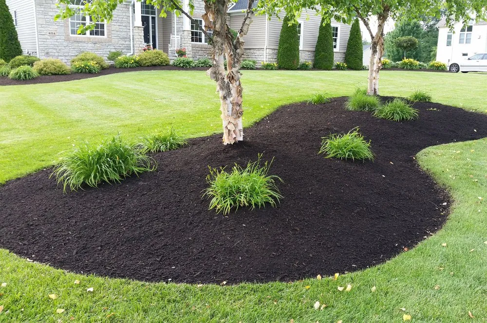 Trusted residential landscaping in Hyannis, MA by Fantastic Landscape
