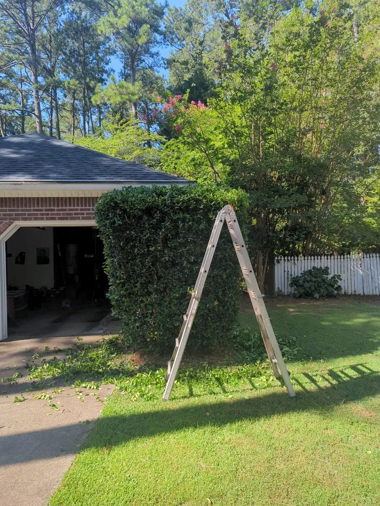 Professional landscape installation in Peachtree City, GA by Fantastic Lawn Care