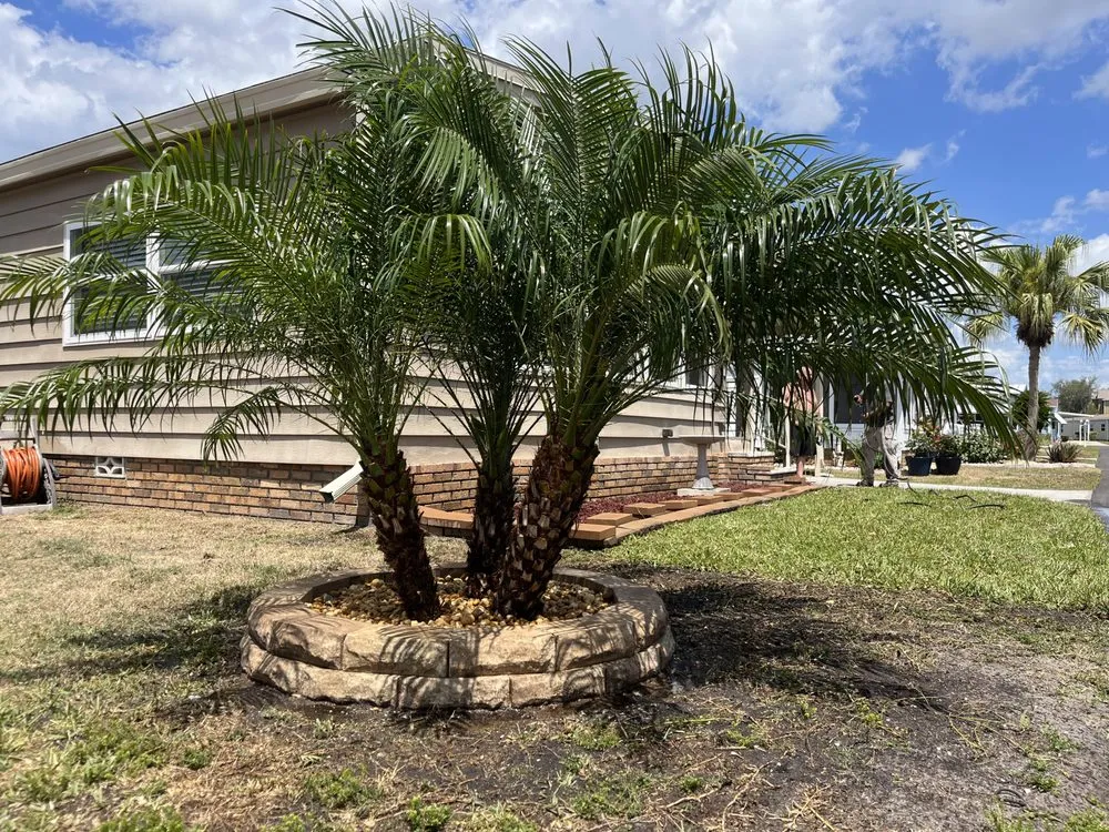 Top-rated yard cleanup service for outdoor upgrades in Hernando, FL by Fantasy Garden